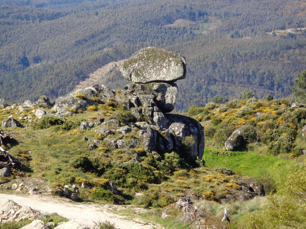 Casa Lagar Do Miradoyro ξενώνας Caramulo Εξωτερικό φωτογραφία